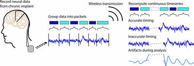 PELP: Accounting for Missing Data in Neural Time Series by Periodic Estimation of Lost Packets